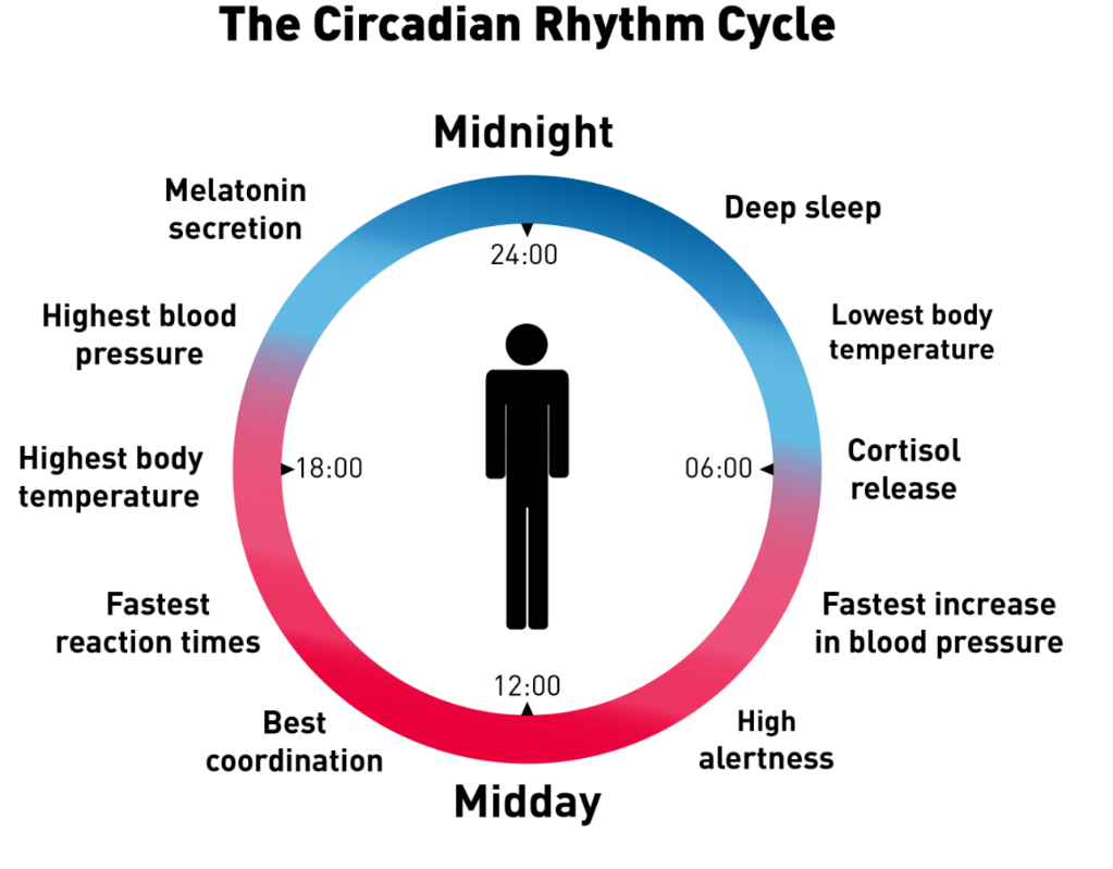 Blue Light and Sleep Hygiene